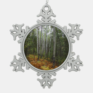 Adorno De Peltre Tipo Copo De Nieve Abedules y Helechos de Otoño en Rocky Mountain