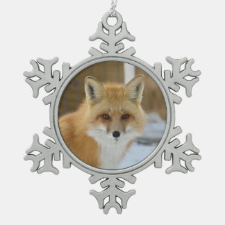 Adorno De Peltre Tipo Copo De Nieve Adorno enmarcado de copo de nieve de Alfalfa de Wi
