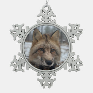 Adorno De Peltre Tipo Copo De Nieve Adorno enmarcado de copo de nieve de Wild Paws Fla