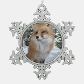 Adorno De Peltre Tipo Copo De Nieve Adorno enmarcado Wild Paws Finneas Copo de Nieve