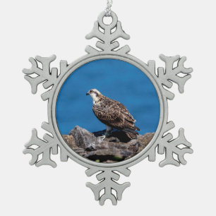 Adorno De Peltre Tipo Copo De Nieve Águila pescadora sobre las rocas