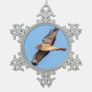 Adorno De Peltre Tipo Copo De Nieve Aguilucho Lagunero en Vuelo
