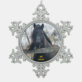 Adorno De Peltre Tipo Copo De Nieve AHT Horse Rescue Goliath