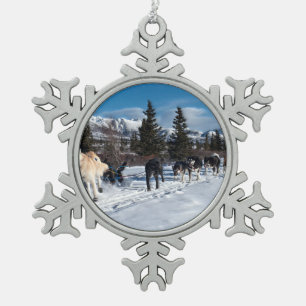 Adorno De Peltre Tipo Copo De Nieve Alaska Husky Dog Sled Race