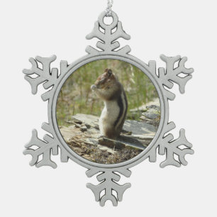 Adorno De Peltre Tipo Copo De Nieve Ardilla de Tierra de Manto Dorado en Glacier I