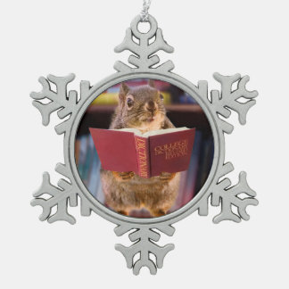Adorno De Peltre Tipo Copo De Nieve Ardilla elegante que lee un diccionario