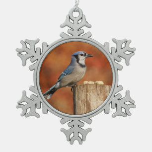 Adorno De Peltre Tipo Copo De Nieve Arrendajo azul