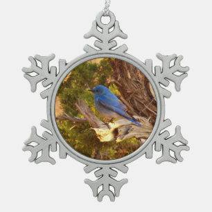 Adorno De Peltre Tipo Copo De Nieve Azulejo Montañés en el Parque Nacional Arches