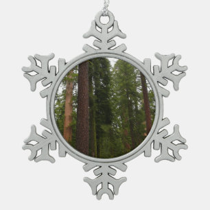 Adorno De Peltre Tipo Copo De Nieve Bosque Mariposa en el Parque Nacional Yosemite