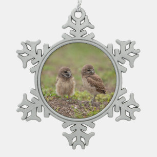 Adorno De Peltre Tipo Copo De Nieve Búhos Mineros Encantadores de Florida