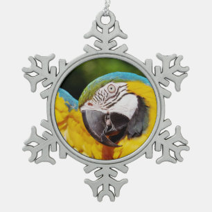 Adorno De Peltre Tipo Copo De Nieve Cabeza de una guacamaya azul y amarilla
