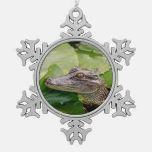 Adorno De Peltre Tipo Copo De Nieve Caimán joven