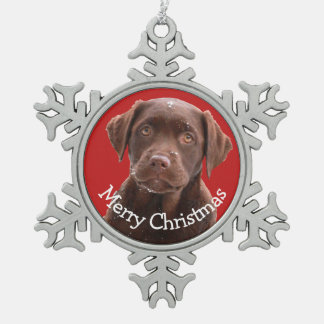 Adorno De Peltre Tipo Copo De Nieve Canine Mascota de cachorro de chocolate Lab Feliz
