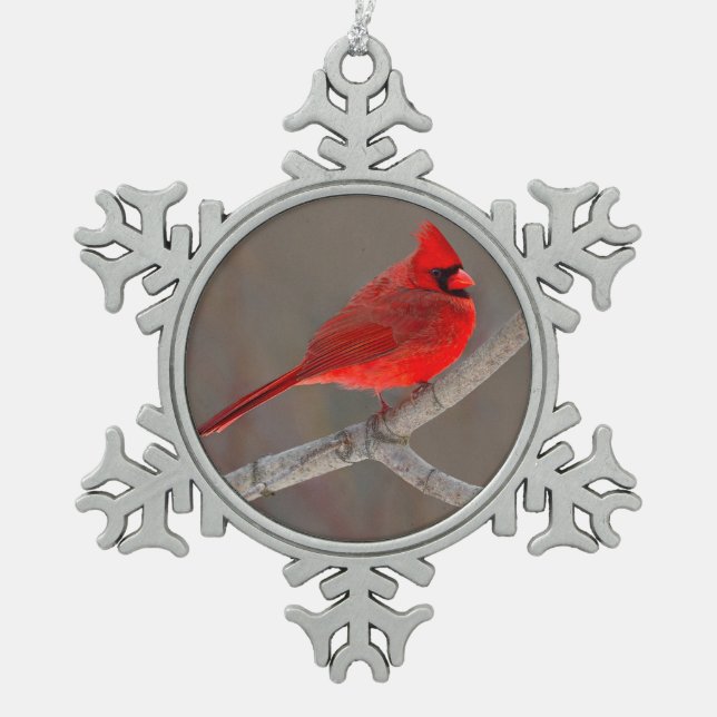 Adorno De Peltre Tipo Copo De Nieve Cardinal (Anverso)