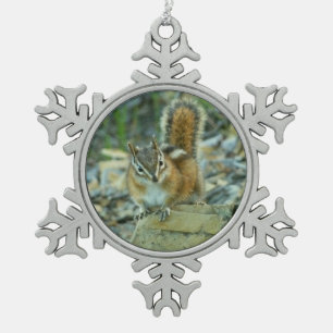 Adorno De Peltre Tipo Copo De Nieve Chipmunk en el Parque Nacional Glaciar