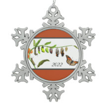 Ciclo de vida de las mariposas monarca