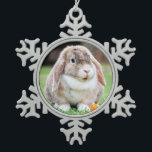 Adorno De Peltre Tipo Copo De Nieve Conejo de orejas cortas<br><div class="desc">Conejo de orejas cortas. En la tienda,  use fotos de la red que hayan sido marcadas como Dominio Público o CC0 y que puedan ser usadas gratis.</div>