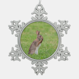 Adorno De Peltre Tipo Copo De Nieve Conejo parado en el césped y con aspecto tímido