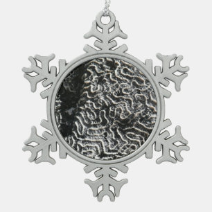 Adorno De Peltre Tipo Copo De Nieve Coral blanco y negro I Resumen foto natural