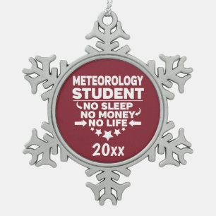 Adorno De Peltre Tipo Copo De Nieve Estudiante de Meteorología sin dinero de sueño Car