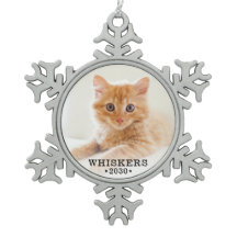 Foto de gato adorable