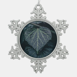 Adorno De Peltre Tipo Copo De Nieve Foto de Moody Ivy Nature