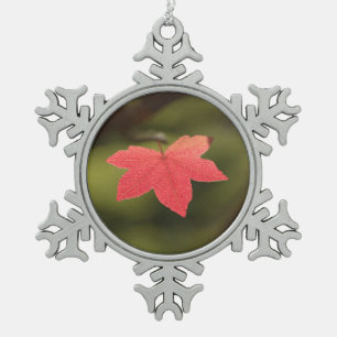 Adorno De Peltre Tipo Copo De Nieve Foto natural de la hoja de arce de otoño roja