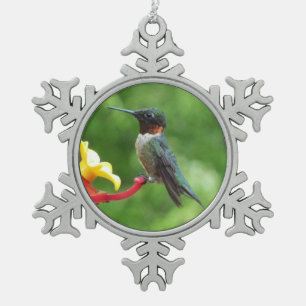 Adorno De Peltre Tipo Copo De Nieve Fotografía de aves de colibrí de garganta rubí