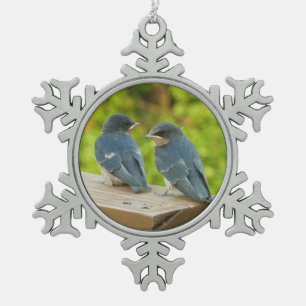 Adorno De Peltre Tipo Copo De Nieve Fotografía de aves de la naturaleza golondrinas de