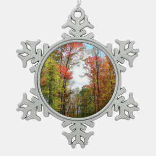 Adorno De Peltre Tipo Copo De Nieve Fotografía de naturaleza otoñal de árboles de otoñ