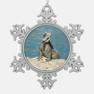 Adorno De Peltre Tipo Copo De Nieve Fotografía de vida salvaje tropical de Iguana en S