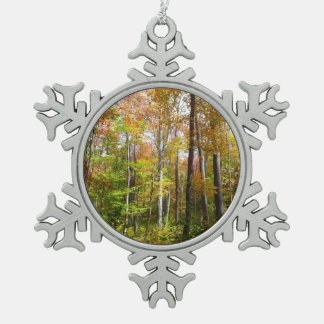 Adorno De Peltre Tipo Copo De Nieve Fotografía paisajística de otoño en el bosque otoñ