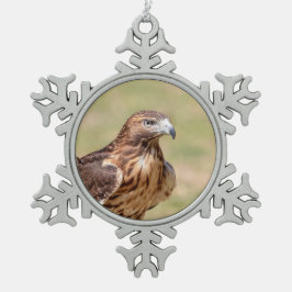 Adorno De Peltre Tipo Copo De Nieve Halcón de cola roja en el Valle de Hudson