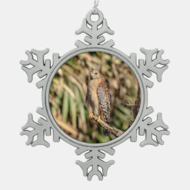 Adorno De Peltre Tipo Copo De Nieve Halcón rojo con hombro en un árbol