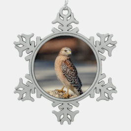 Adorno De Peltre Tipo Copo De Nieve Halcón Rojo con hombro en una roca