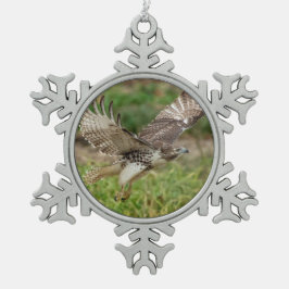Adorno De Peltre Tipo Copo De Nieve Halcón rojo inmaduro