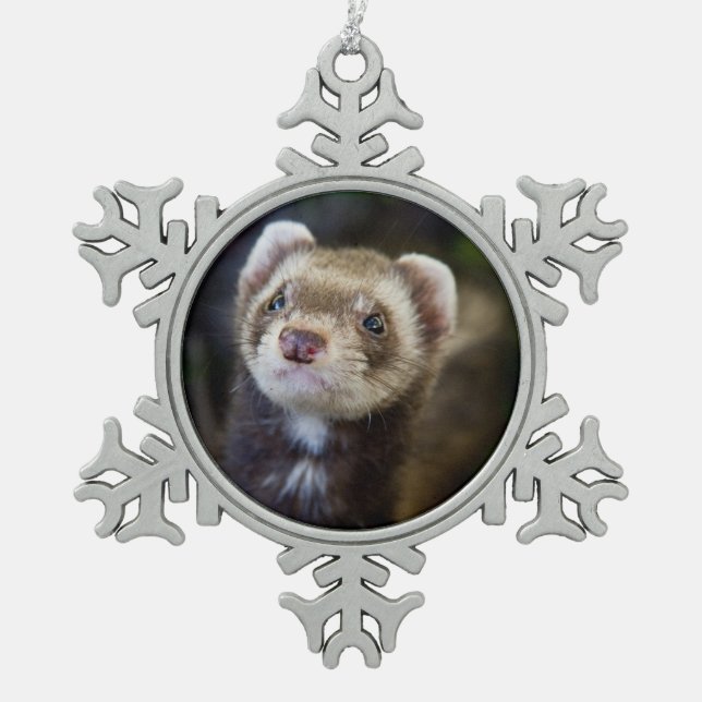 Adorno De Peltre Tipo Copo De Nieve Hurón (Anverso)