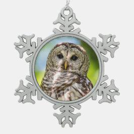 Adorno De Peltre Tipo Copo De Nieve Lechuza Barred