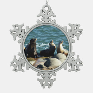 Adorno De Peltre Tipo Copo De Nieve Leones marinos de San Diego