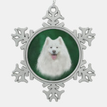 Lily el samoyed