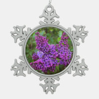 Lovely Purple Lilacs