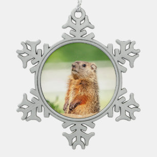 Adorno De Peltre Tipo Copo De Nieve Marmota joven