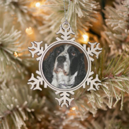Adorno De Peltre Tipo Copo De Nieve Mascota Español Springer en inglés