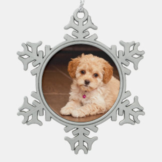 Adorno De Peltre Tipo Copo De Nieve Mezcla del caniche del bebé o perro de perrito
