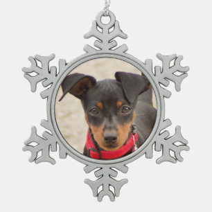 Adorno De Peltre Tipo Copo De Nieve mini-pinscher-negro y óxido