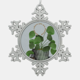 Adorno De Peltre Tipo Copo De Nieve Minimalist Money Plant -