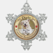 Monumento a los Mascotas de oro - Siempre recordad