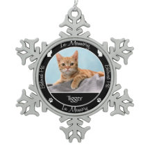 Monumento conmemorativo - Pérdida de un gato - Fot