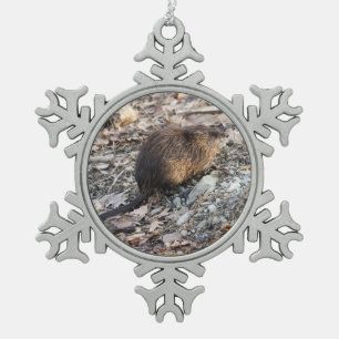 Adorno De Peltre Tipo Copo De Nieve Muskrat