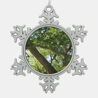 Adorno De Peltre Tipo Copo De Nieve Naturaleza verde del árbol de Sycamore